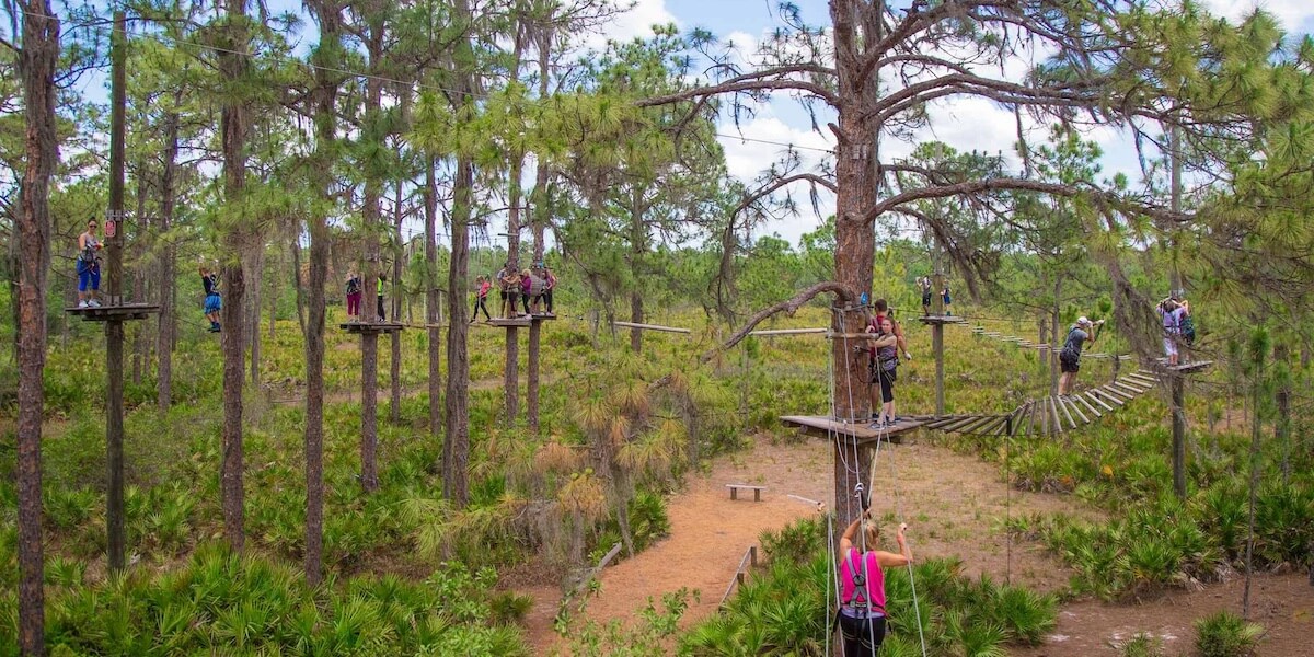 TreeUmph Adventure Course