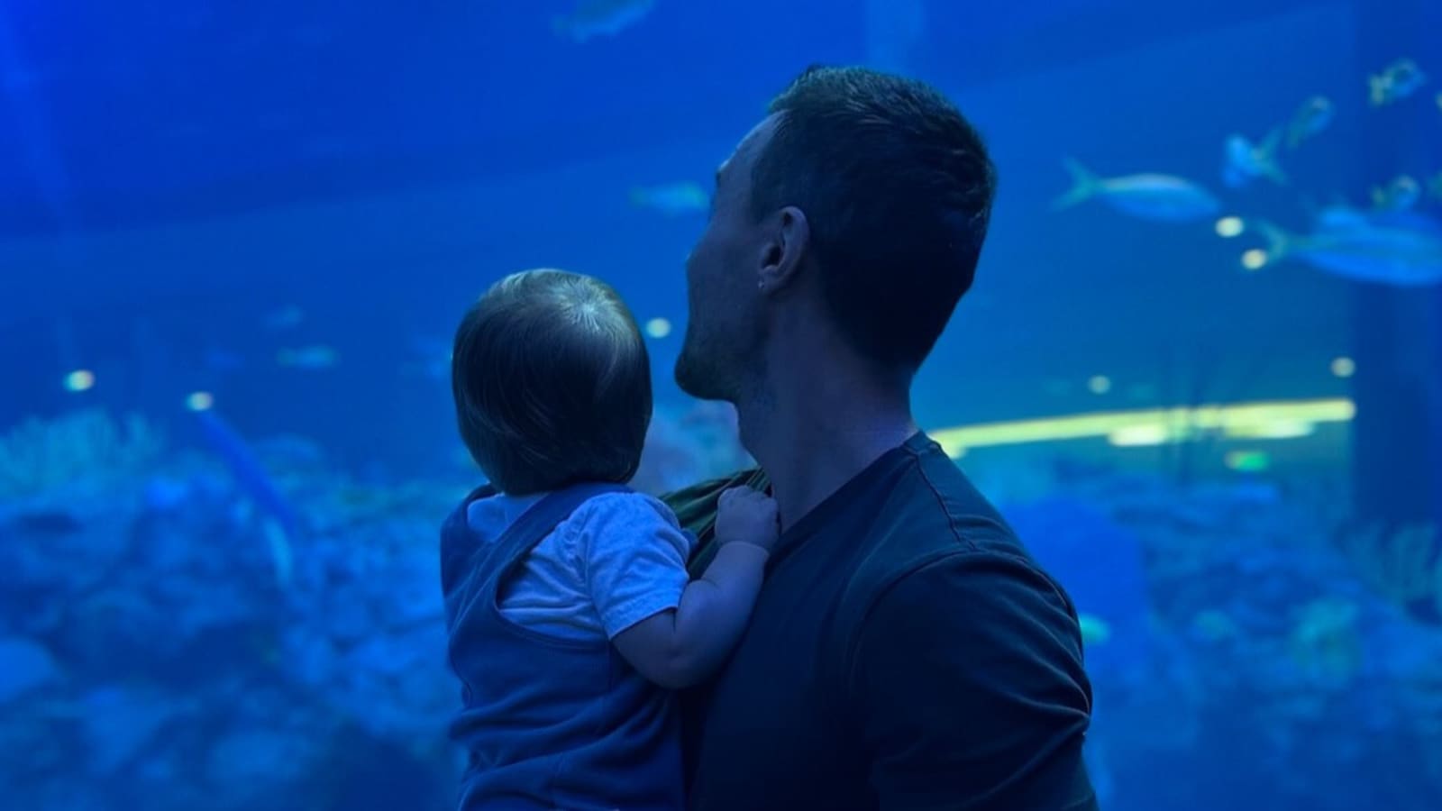 A father and child watching fish swim by at Mote's new aquarium in Sarasota