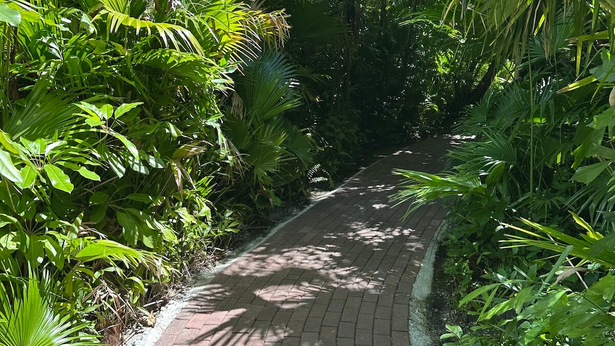 Sarasota Jungle Gardens - photo 3