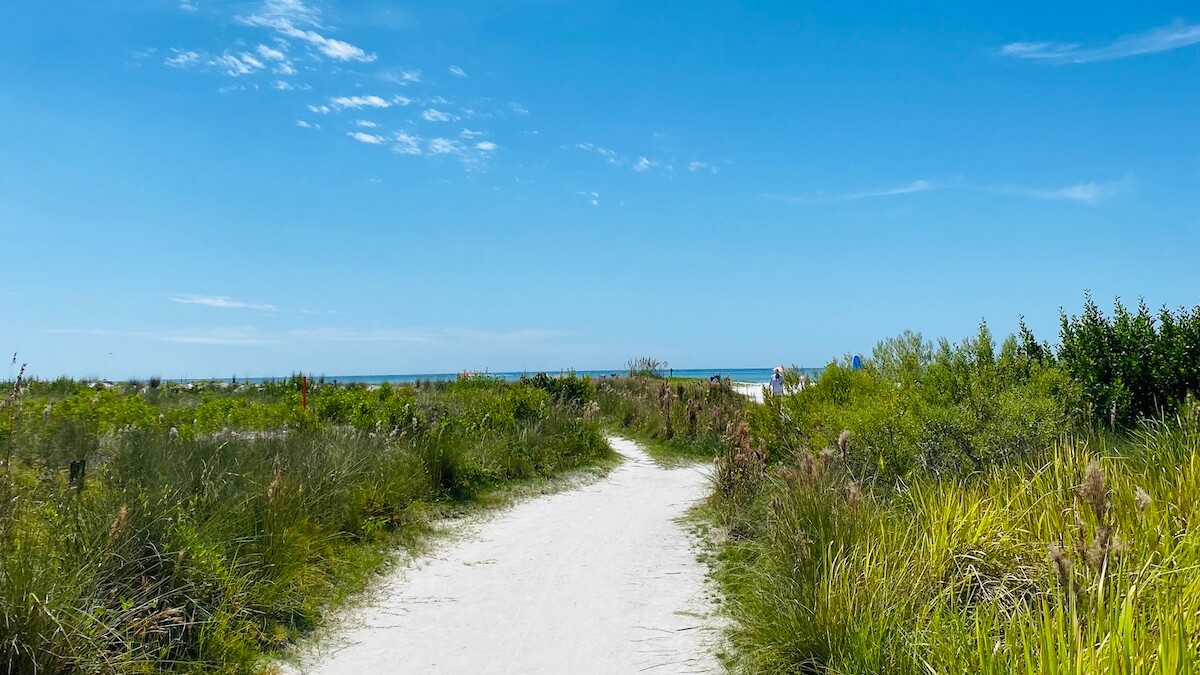 Siesta Key Beach - photo 3