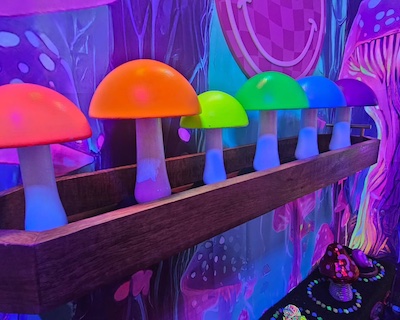 Escape Room Sarasota