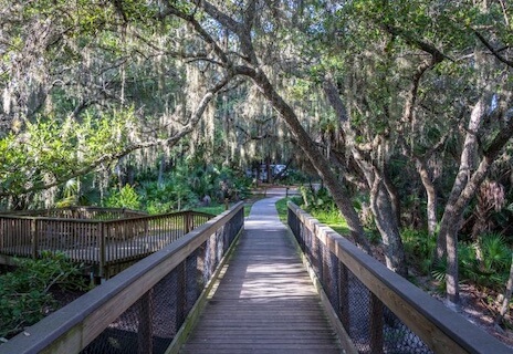 Oscar Scherer State Park